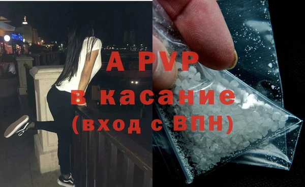 мяу мяу мука Арсеньев