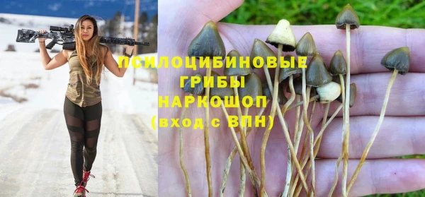 мет Аркадак
